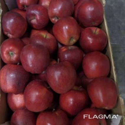 Apples Macedonia