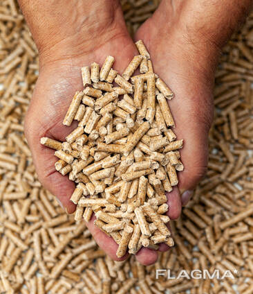 Plus-A1 Pine Wood Pellets / wood pellet size 6mm 8mm - Export worldwide