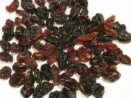 Black raisins for confectionery grade (Kizilcha).