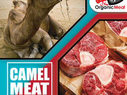 Camel Meat