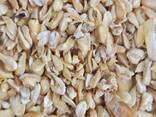 Corn germ (100% vegetable product, GMO free) - фото 2