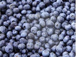 Diepgevroren bessen en fruit, bessen- en fruitmixen en compotemengsels.