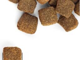 Dog Food Directly from the Manufacturer! Fresh and high-quality