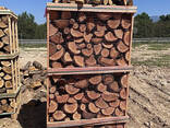 Дрова колотые дуб, бук - фото 1