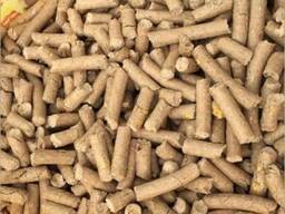 EN plus Wood Pellets A1