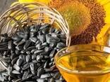 Refined Sunflower Oil Sun Flower Oil Cooking Bulk Price - photo 2