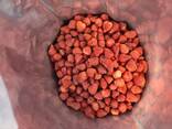 Freeze dried fruits wholesale - photo 12