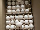 Fresh chicken table eggs - фото 1