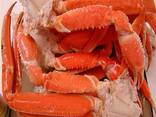 Frozen Crabs and Norwegian King Crab/ Frozen King crab legs for sale - photo 4