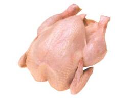 Frozen chicken