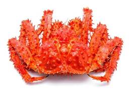 Frozen King Crab/ Crab Legs, Frozen Dungeness Crab / Live Blue Swimming Crab For Sale