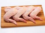 Halal Frozen Chicken, Thigh, Back quarter, Wings , Fillet - фото 3