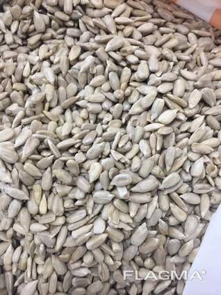 Ищу бизнес партнера.