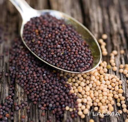 Je vendrai de la moutarde blanche, jaune, noire.