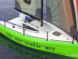 Lion 550 "Adrenaline" sail boat - фото 2