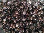 Plum (prune) dried in a special dryer grade Hungarian pitted 1 grade Humidity 26 to 30%. - фото 2