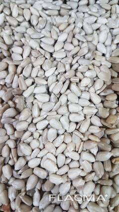 Подсолнечник Лущённый (очищенный)