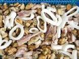 Предлагаем мороженные морепродукты в Бельгию от завода из КНР - фото 9