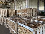 Premium fireplace hardwood logs