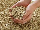 Premium wood pellets - фото 3