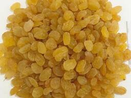 Raisin yellow (Golden) 1 grade.