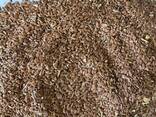 Семена льна (золотистого) - фото 1