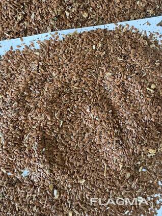 Семена льна (золотистого)