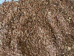 Семена льна (золотистого)