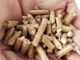 Top Premium quality ENA1 wood pellets for sale - фото 2