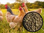 Vegetable straw pellets for animals alternative to straw bedding - фото 2