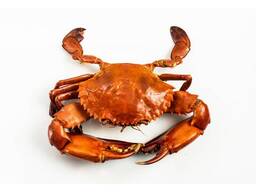 Whole Alaskan Red KING CRAB King Crab Wholesale Frozen King Crab Legs