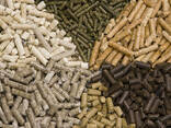 Wholesale Supplier of Premium Wood Pellets - photo 2
