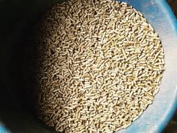 Wholesale Wood Pellets Natural Pine Wood