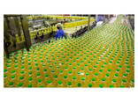 Wholesales Sunflower Oil 100% Pure&amp;nature Refined Sunflower Oil - фото 1