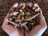 Top Grade ENA1 wood pellets for sale - фото 3