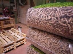 Plus-A1 Pine Wood Pellets / wood pellet size 6mm 8mm - Export worldwide